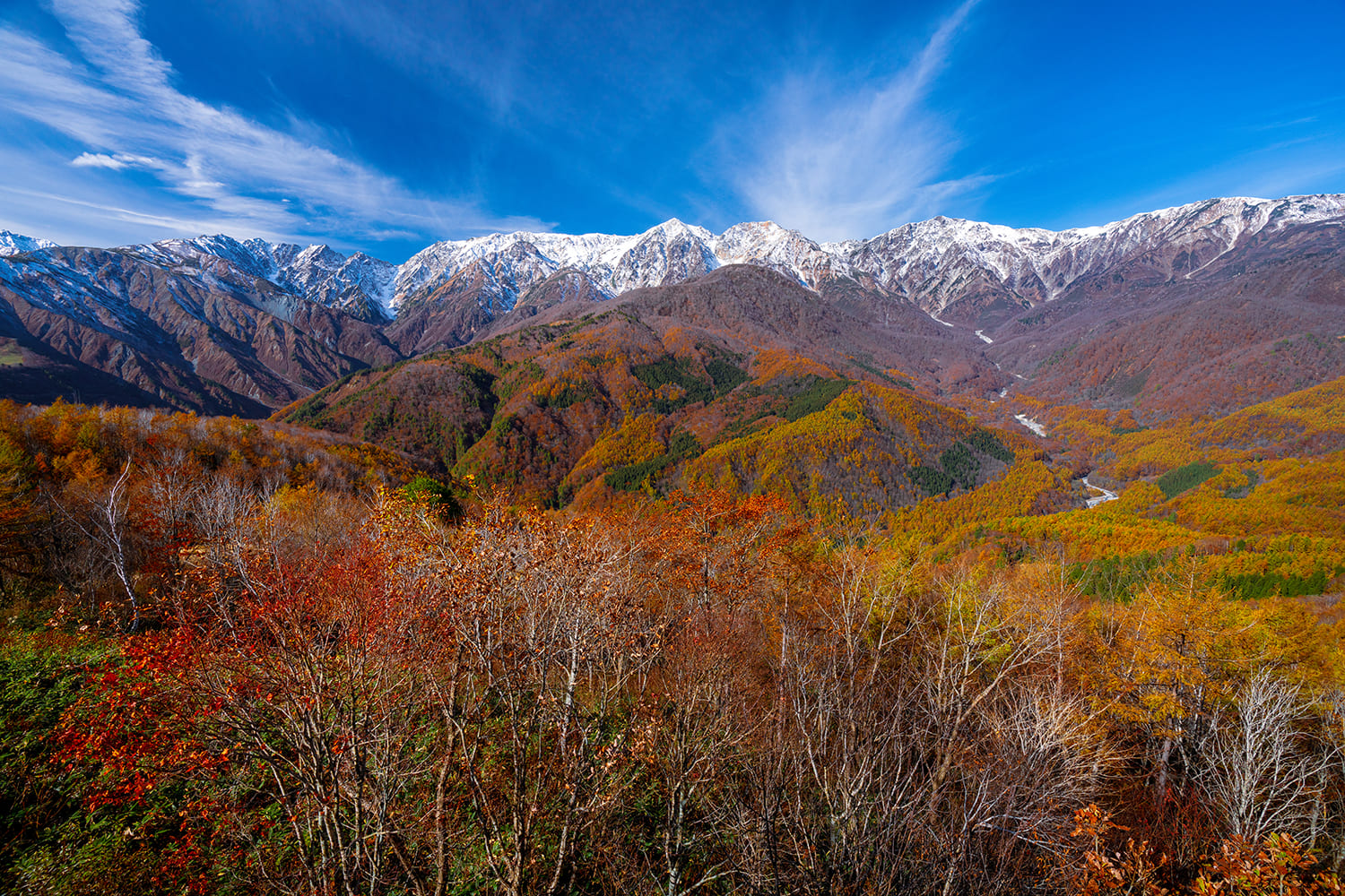 Hakuba Village / Iwatake