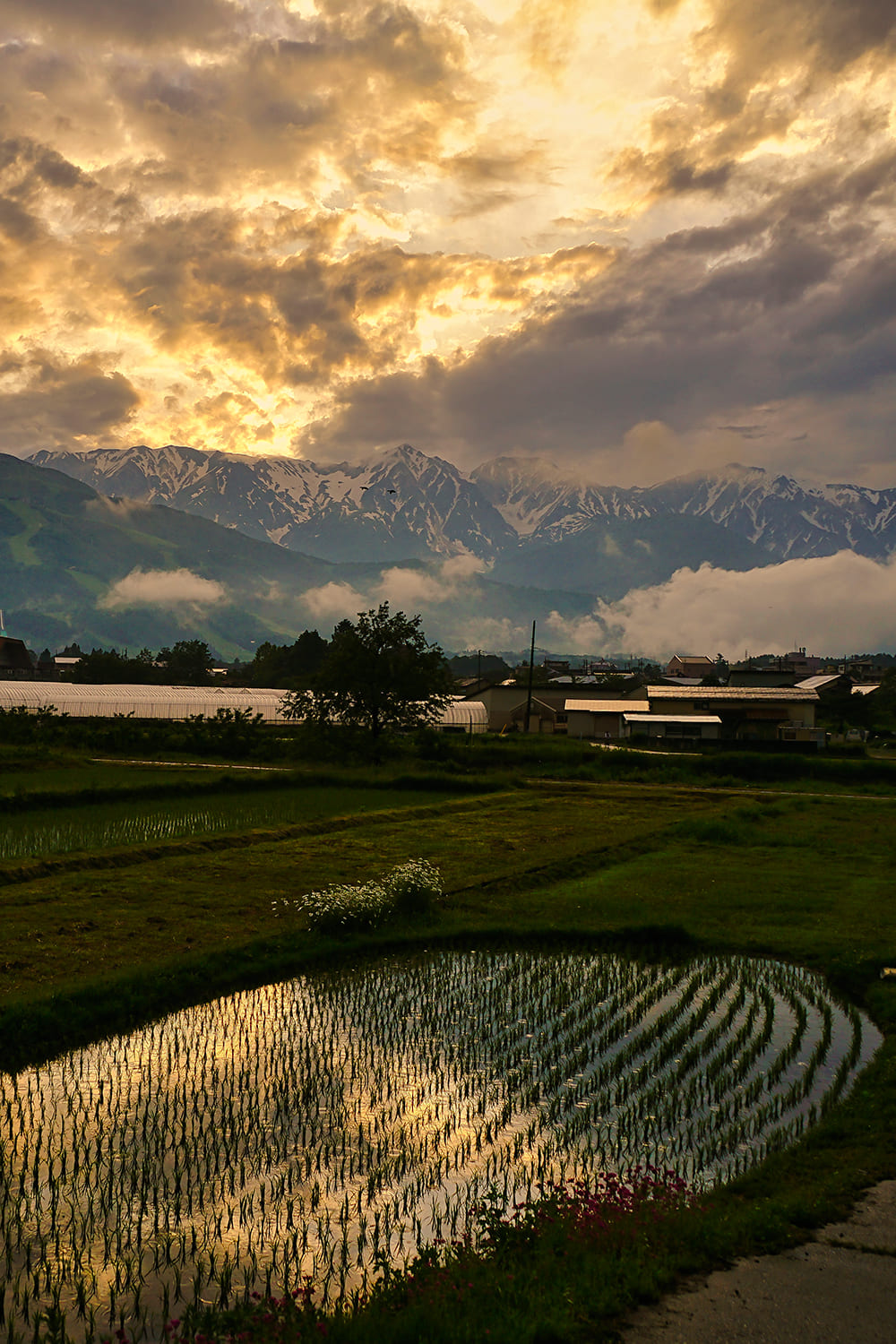 Hakuba Village / Warabidaira