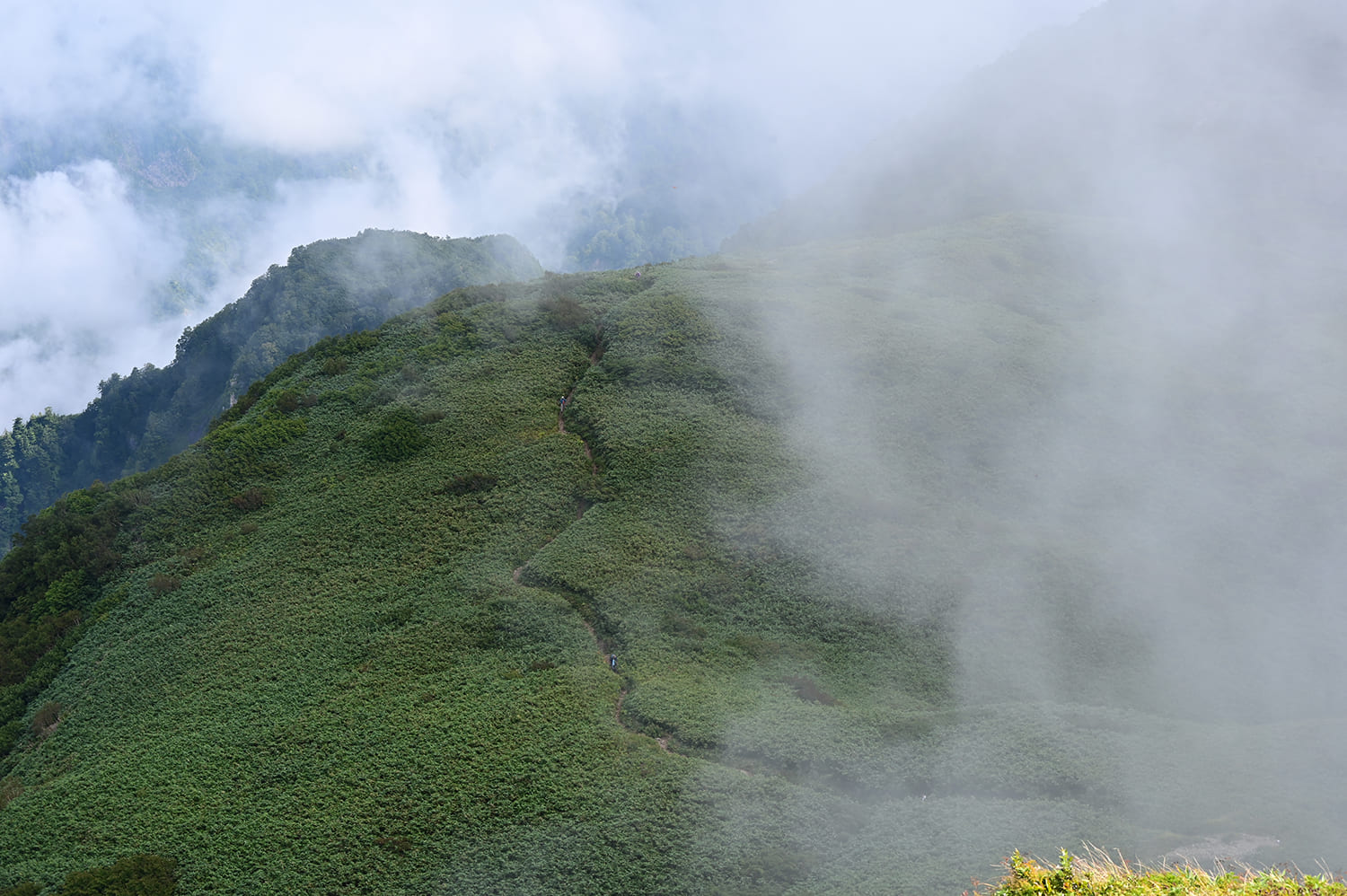 Otari Village / Mt. Amakazari