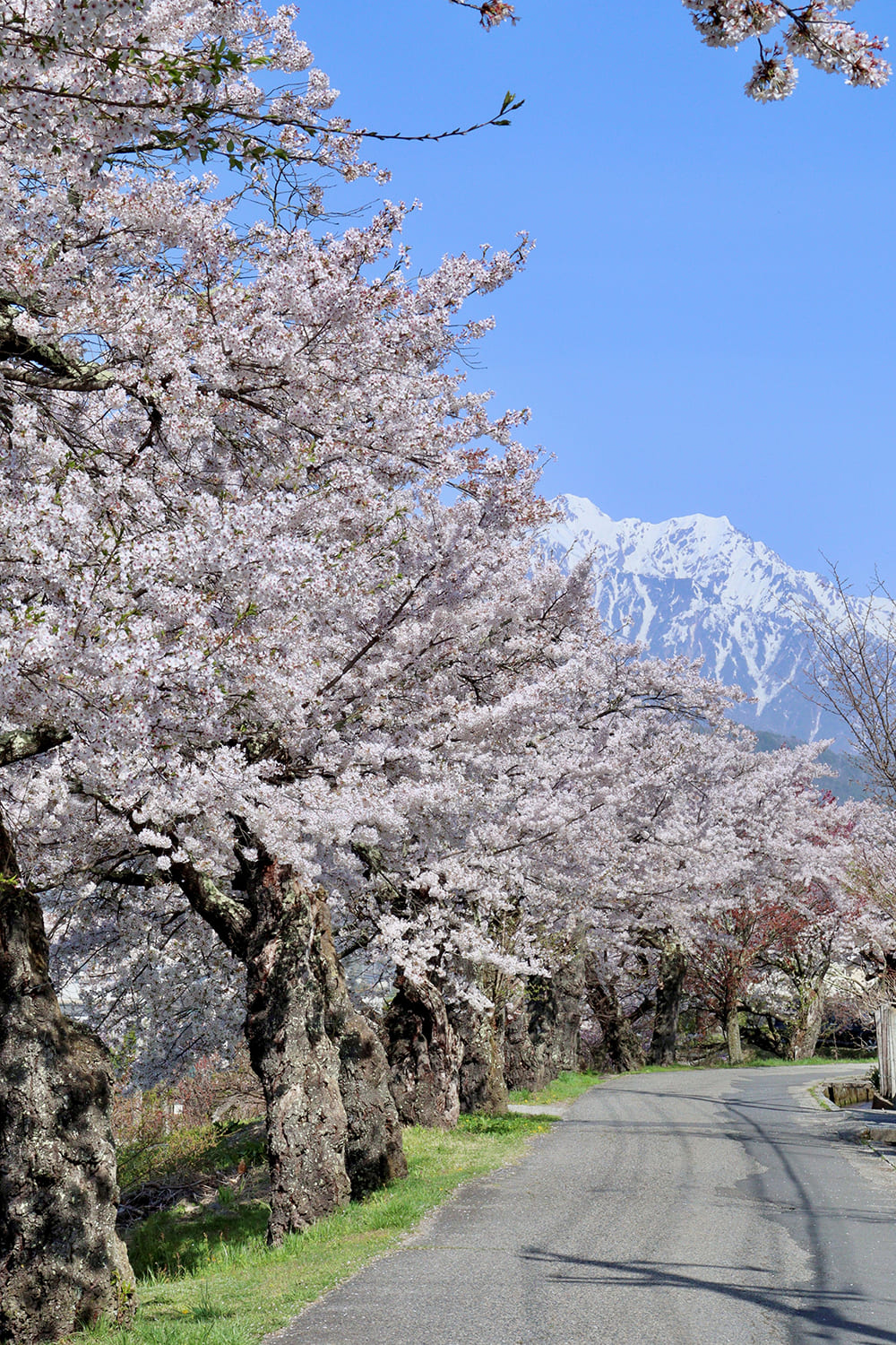 Ōmachi City / Yamada-machi・Kita Yamada-machi