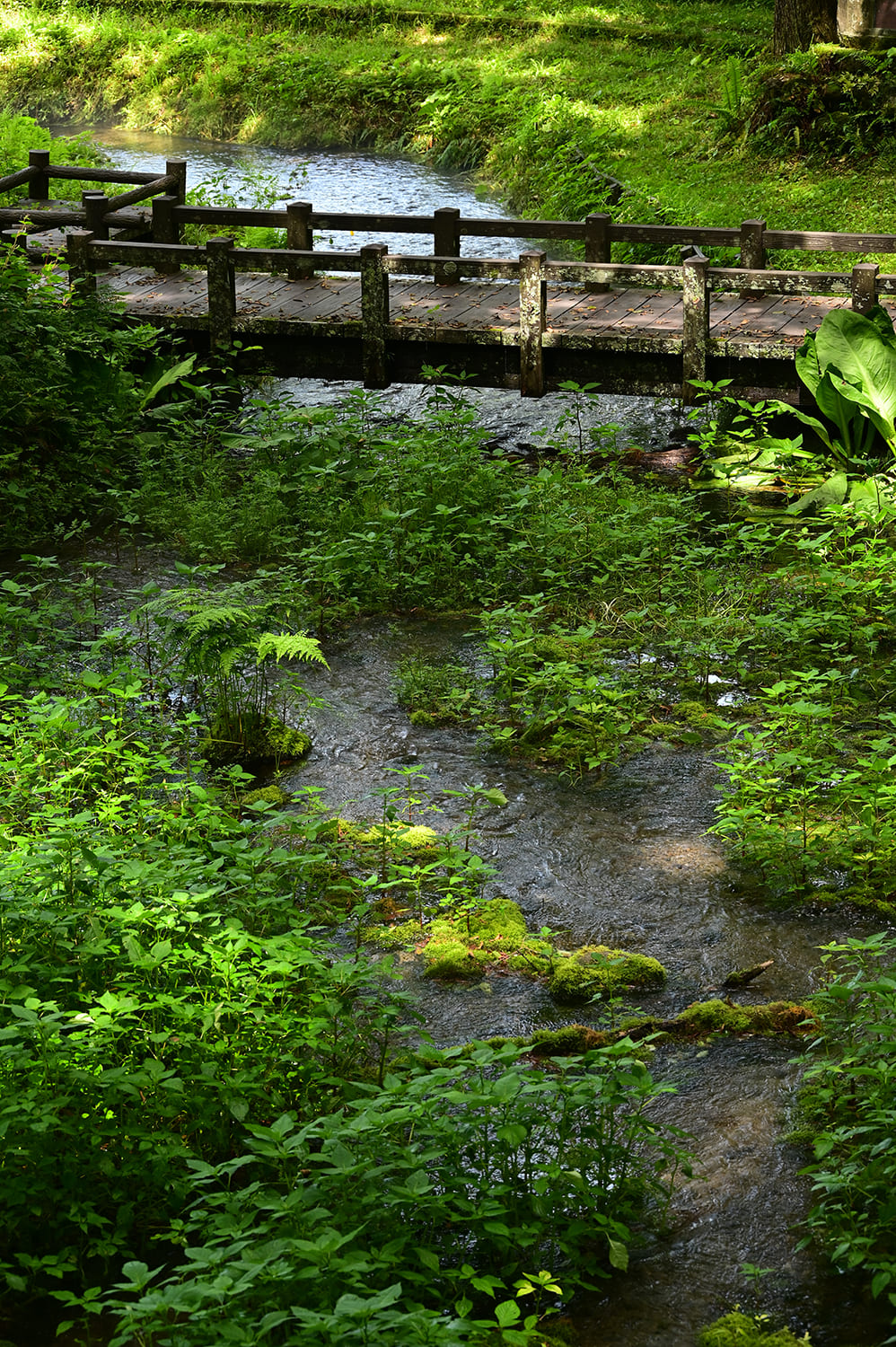 Hakuba Village / Sanosaka Pass